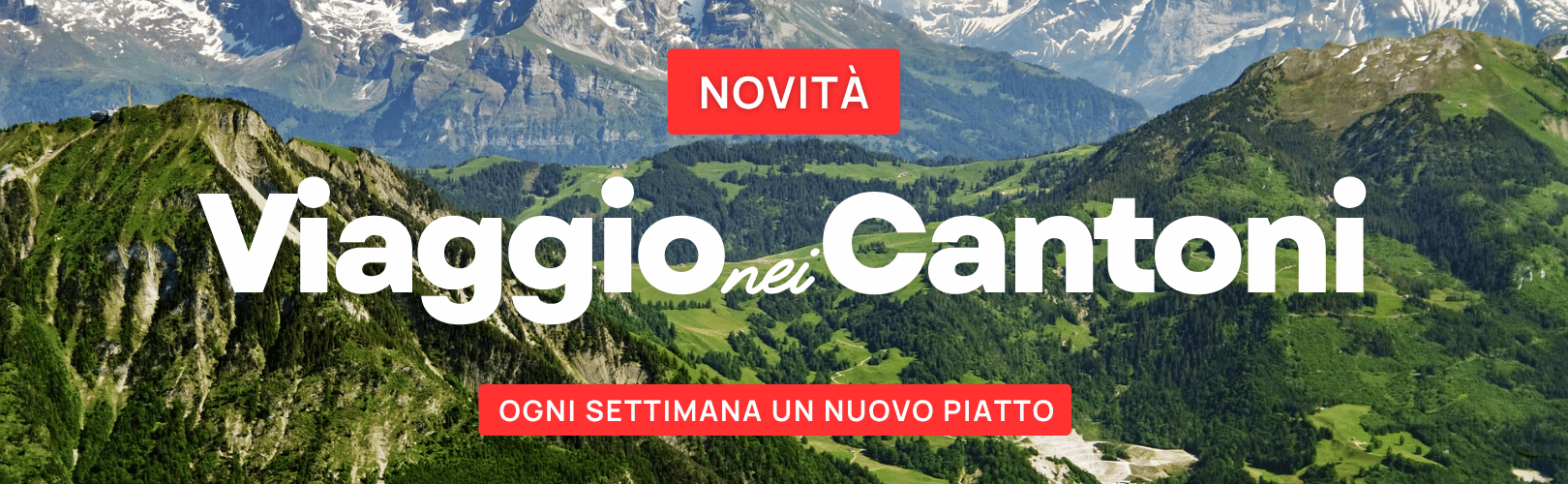 Banner Promo-Luini6Food-8